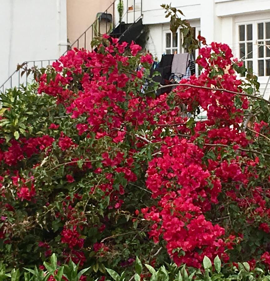 Flores Lisbon Exterior photo